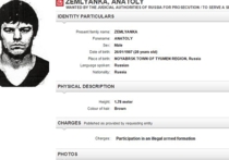 Джихади-Толиком, казнившим российского шпиона, занялся Интерпол