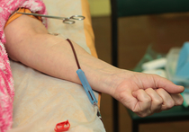 Обязанность премировать работников, сдающих донорскую кровь, может появиться у работодателей