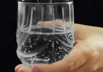 Учёные из Лундского университета в Швеции пришли к выводу, что питьевая вода на самом деле кишит микроорганизмами