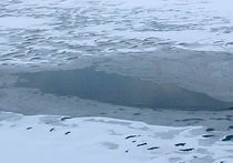 Спасать двух подростков, которые решили прогуляться по реке в плюсовую температуру и провалились под лед, пришлось подмосковным спасателям