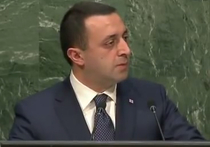 Премьер-министр Грузии Ираклий Гарибашвили оставил свой пост