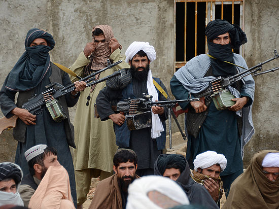 Могут ли Россия и «Талибан» сотрудничать в борьбе против ИГИЛ