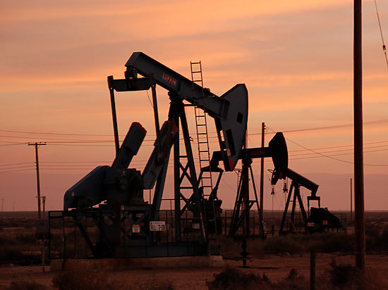 Эксперт: в январе цена на нефть сделает кульбит и вырастет сразу на 30%