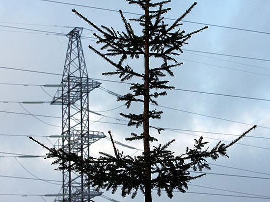 Накануне Нового года была частично приостановлена подача электроэнергии из Украины в Крым