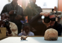 Обнаруженные на юго-западе Китая кости древнего человека позволили ученым сделать вывод, что 10-15 тысяч лет назад, когда как считалось на Земле остался только один вид людей - человек разумный - рядом с ним продолжал жить еще один вид