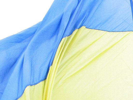 Эксперт: если Украина составит все желаемые иски, на одну бумагу придется вырубить тайгу
