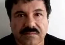 Полгода пробыл на свободе мексиканский наркобарон Хоакин Гусман по кличке «Эль Чапо» (Коротышка), совершивший в июле 2015-го дерзкий побег из-за решетки