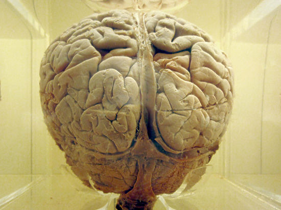 К такому выводу пришли учёные из США