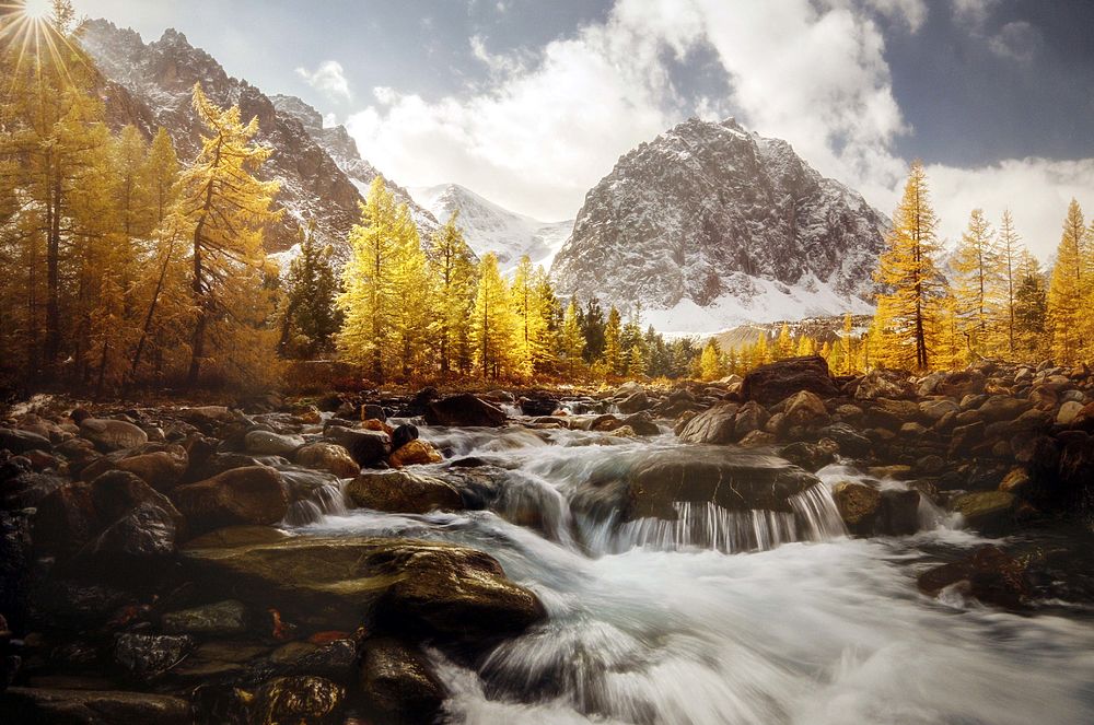 В ЦДХ на Крымском Валу открылся III фестиваль природы «Первозданная Россия»