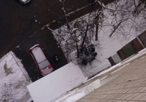 Женщина с восьмимесячным сыном найдены под окнами многоэтажки на Дмитровском шоссе
