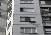 Уже второй за последние дни инцидент с выбрасыванием малолетнего ребёнка из окна многоэтажного дома произошёл накануне в Московском регионе, где собутыльники по неизвестной причине совершили чудовищное преступление