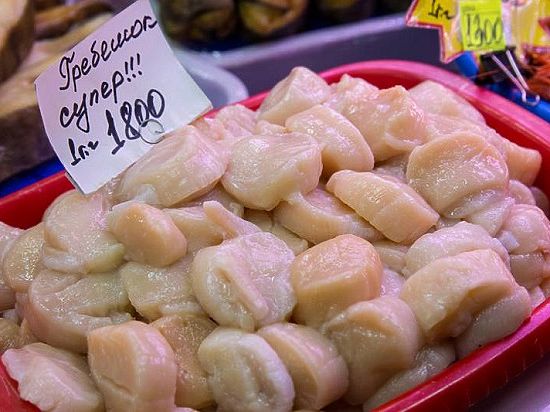 Гребешковый переполох