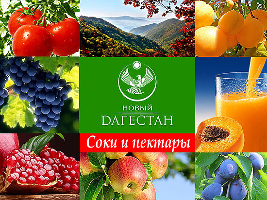 Дагестан достойно представили на Продэкспо 2016 Фото