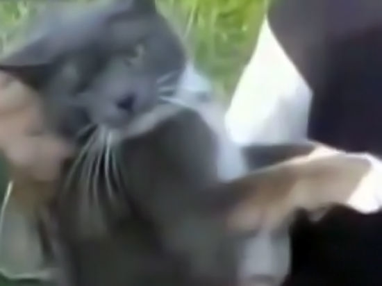 Ранее в интернете появилось шокирующее видео расправы на животным