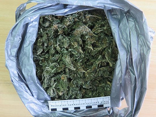 У крымчанина изъяли 1,5 тысячи доз марихуаны