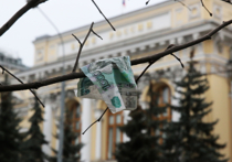 Установка «счетчика» на микрозаймы, выдаваемые одному заемщику, должно помочь россиянам избежать встречи с коллекторами