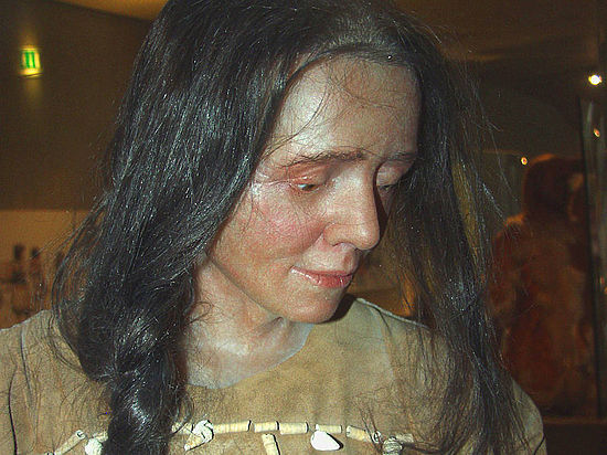 Они участвуют в формировании иммунной системы