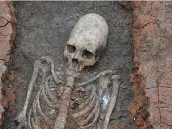 Уфимские ученые-антропологи создадут образ челябинской «инопланетянки», останки которой были найдены в древнем могильнике в Аркаиме. 