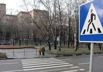 На заседании президиума Госсовета президент Путин обратил внимание на рост числа жертв-пешеходов и предложил повысить ответственность за ДТП на пешеходных переходах