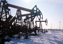 Глава Минприроды Сергей Донской привел тревожные данные, согласно которым доказанных запасов нефти в России хватит лишь на 28 лет