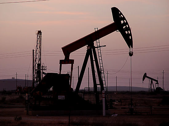 Предложения правительства остановить поставки нефти в Белоруссию поддержали "Газпром" и "Татнефть"