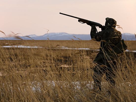 В Алтайском крае одобрили охоту на перелетных гусей В Алтайском крае одобрили охоту на перелетных гусей