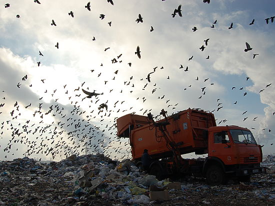 Глава города раскритиковал действующие тарифы по утилизации коммунальных отходов