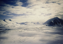 Площадь арктических льдов оказалась наименьшей для сезона за всю историю наблюдений