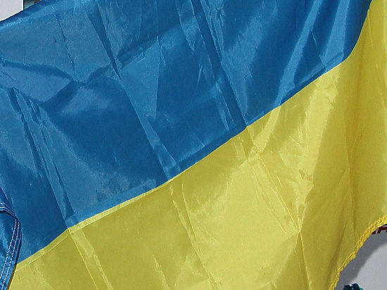 Спикер Владимир Гройсман уже зовет в украинское правительство новых иностранных специалистов