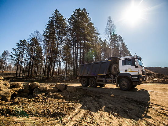В Приангарье начались аукционы по продаже вырубленного на Байкальском тракте леса