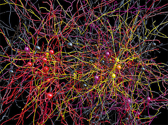 На ней можно увидеть около 1 300 нейронных связей