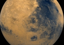 Просматривая снимки поверхности Красной планеты, сделанные марсоходом Curiosity, уфолог Скотт Уоринг увидел необычные очертания, напоминающие окаменелые останки древней рыбы