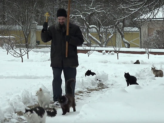 В ходе шествия пономарь благословил животных
