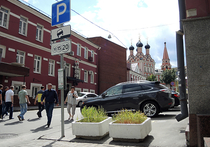 Создавать интуитивную навигацию на московских улицах при помощи кустарников и цветников хотят столичные архитекторы