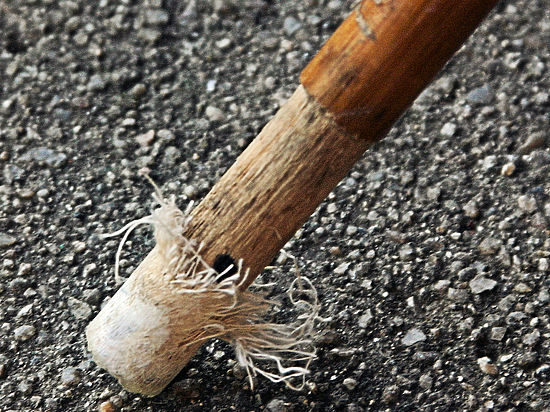 По словам родных, спортсмен ударил ребенка палкой по ягодицам