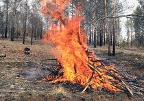 Наступает весенне-летний период, а вместе с ним — высокая вероятность пожаров