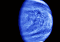 Красивые темные полосы на ультрафиолетовых снимках диска Венеры «нарисованы», по всей видимости,  хлоридом железа, растворенным в серной кислоте