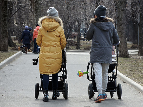 В парламенте Татарстана свою инициативу объяснили заботой о семье