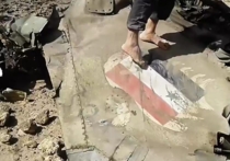 В Интернете появилось видео с места крушения самолета сирийских ВВС под Дамаском