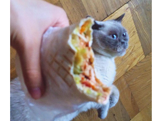 Власти Москвы покусились на палатки с популярной закусью