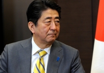 Премьер-министр Японии Синдзо Абэ сообщил после трехчасовых переговоров в Сочи с российским лидером Владимиром Путиным, что предложил ему новый подход к проблеме Курильских островов