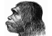 Группа археологов, представляющих Университет Колорадо в Боулдере, сообщила, что ей удалось найти причину исчезновения неандертальцев