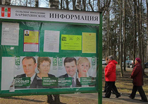 20 апреля ЦИК обязал территориальную комиссию Московской области отменить выборы в Барвихе