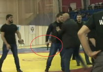 Спортсмен, представляющий Чечню, спровоцировал драку во время первенства России по вольной борьбе среди юношей в Старом Осколе