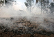 12 мая, в Иркутском районе ликвидировано возгорание торфяных отложений площадью 3,5 га в районе Плишкинского тракта, которое произошло по вине неизвестных, поджегших 9 мая сухую растительность вблизи поселка Плишкино