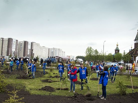 Семь миллионов деревьев: Кузбасс прирастёт экологией 
