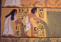 Завершив перевод двух оксиринхских папирусов — рукописей, написанных в Древнем Египте 1 700 лет назад, — группа итальянских исследователей из Университета Удине пришла к выводу, что некоторые из этих рукописей представляют собой заклинания, в то время как другие — древние медицинские рецепты