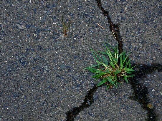 Ей оказалось воздействие солнечных вспышек на молекулы азота