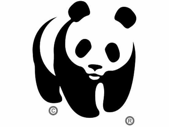 Отделение международного фонда WWF в России обвиняют в чрезмерных тратах  спонсорских средств
