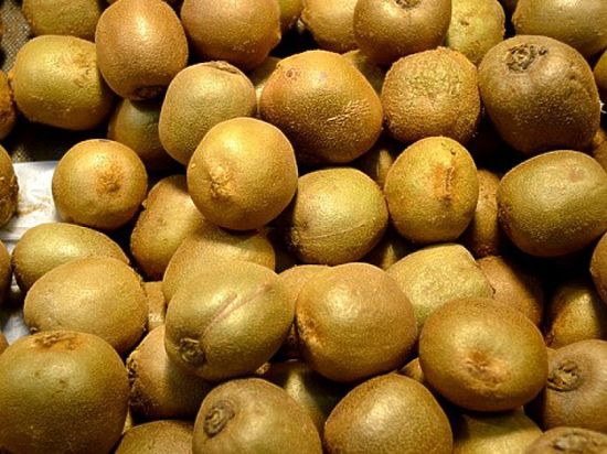 В Томской области уничтожили почти 400 килограммов зараженных фруктов из Ирана